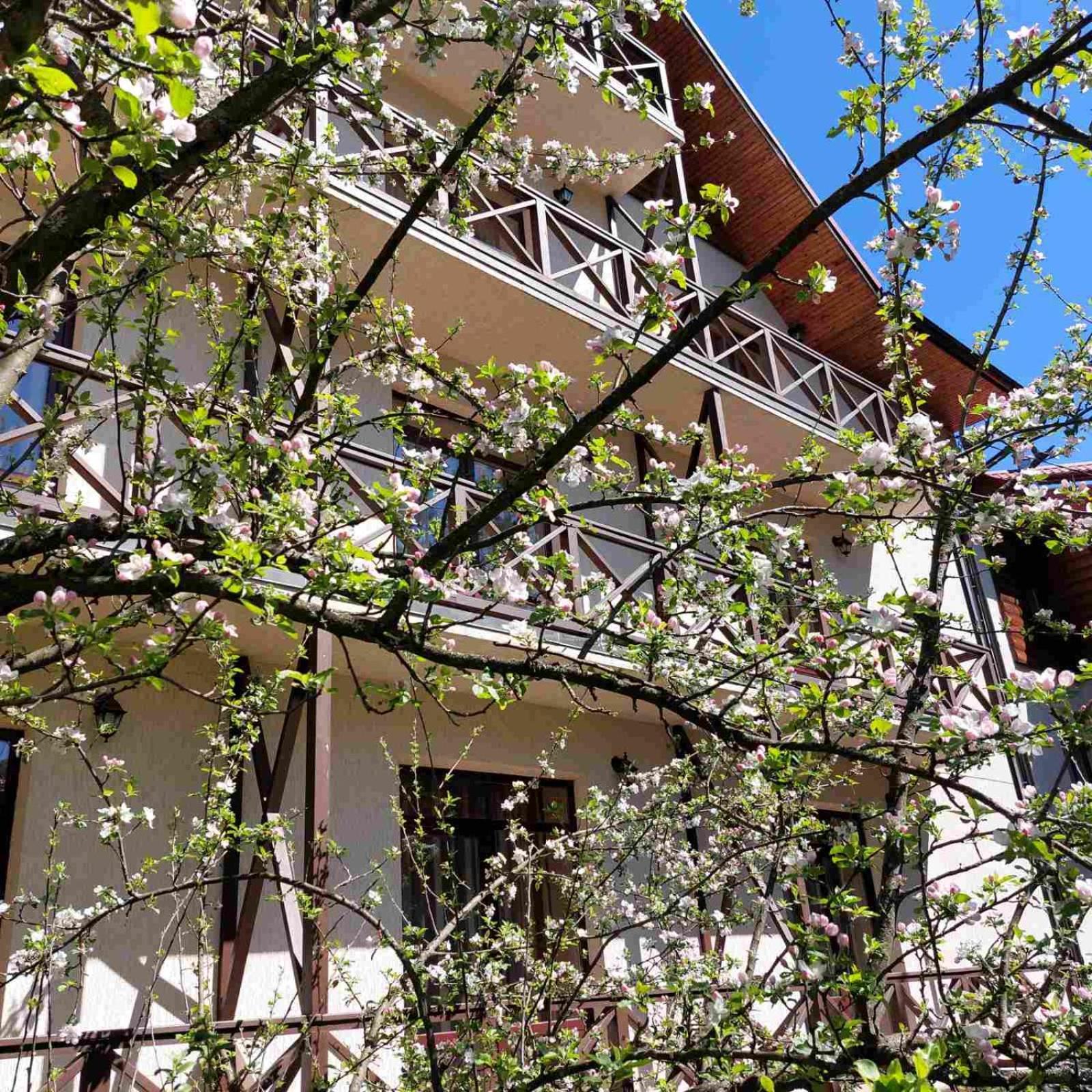 Tsvit Paporoti Yaremche Dış mekan fotoğraf
